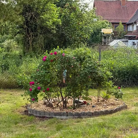 Gemuetliche Im Fachwerkhaus, 1 Schlafzimmer, Balkon, Parkplatz -w1 アパート